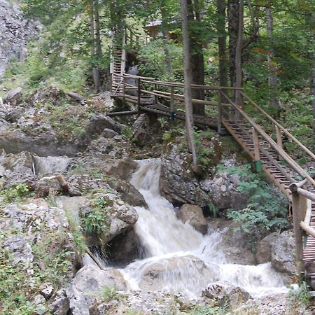 Apartments Am Kirchkogel "Laendliche Entspannung Im Herzen Der Steiermark" Pernegg an der Mur Exteriér fotografie